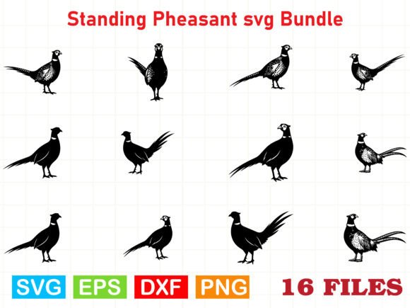 A Pheasant Graphics Review for Brand Illustrations