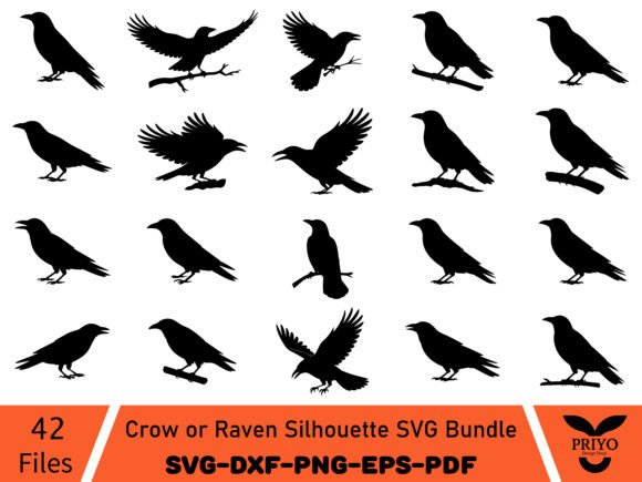 Crow or Raven Silhouette Graphics for Brand Illustration