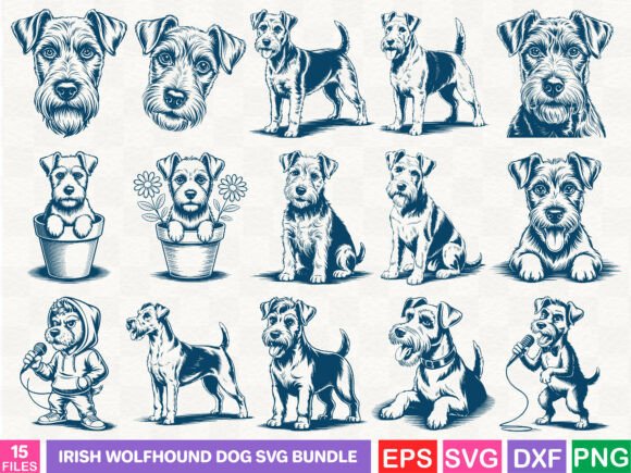 Irish Wolfhound SVG Graphics for Editorial Illustrations