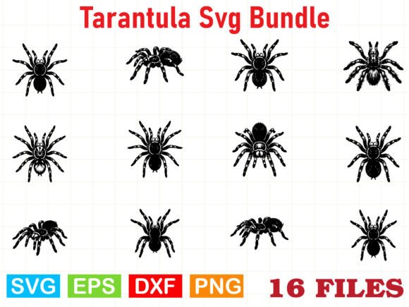 Tarantula SVG Bundle: Bold Graphics for Crafting & Illustration